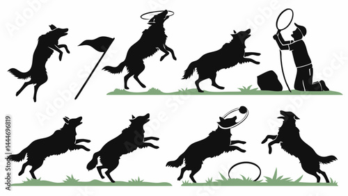 Dynamic Black Silhouette Graphic of Dog Agility and Disc Dog Sport Training Jumps Catches Action