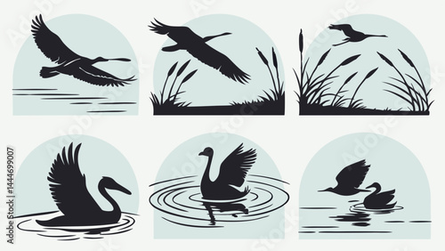 Set of Black Silhouette Illustrations Wetland Birds Flying Swimming Water Reeds