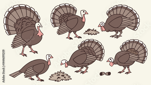 Cartoon Illustration of Six Brown Turkeys Thanksgiving Farm Birds Pecking and Strutting Poses
