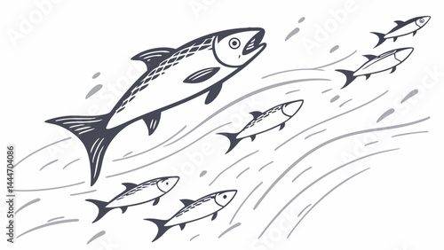 Black And White Illustration Of Salmon Leading School Of Fish Swimming Upstream