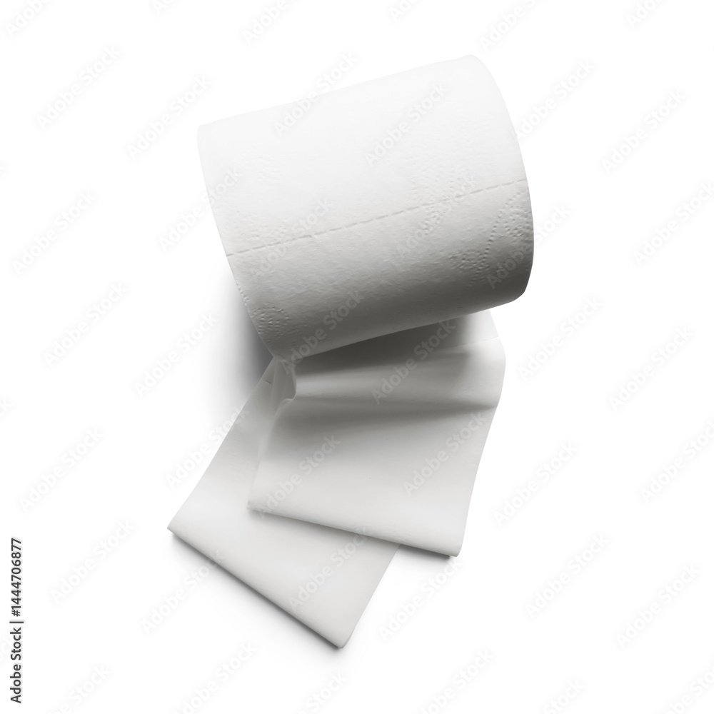 Roll of Toilet Paper Roll of Toilet Paper