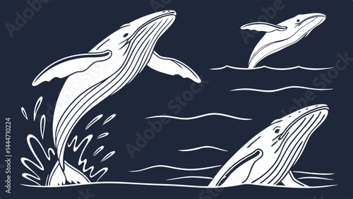 Dynamic White Line Art Illustration of Humpback Whales Breaching and Swimming in the Ocean - Detailed Marine Life Sketch