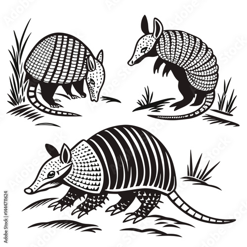 Three Armadillos in Black and White, Stylized Animal Illustrations, Wildlife, Nature
