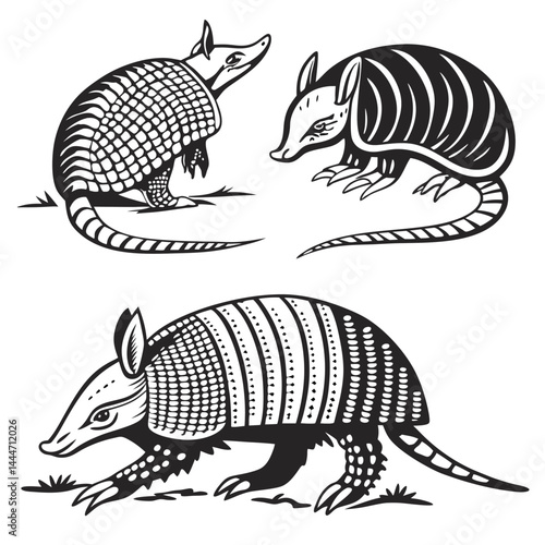 Armadillo Three Black and White Mammals in Different Poses and Direction