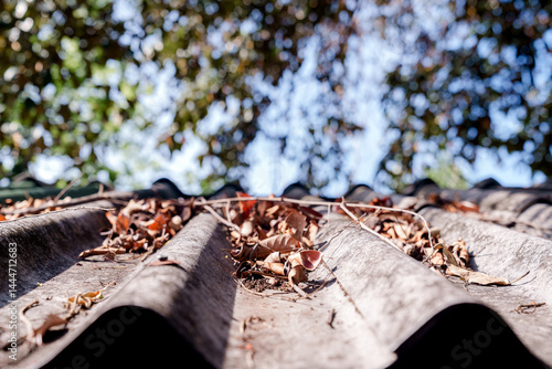 Konstfotografi Fallen leaves in autumn cover the roof, showing the dire situation with leaves