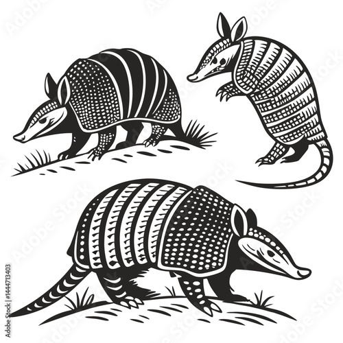 Armadillo Animal Illustrations Black And White Silhouette Standing, Walking