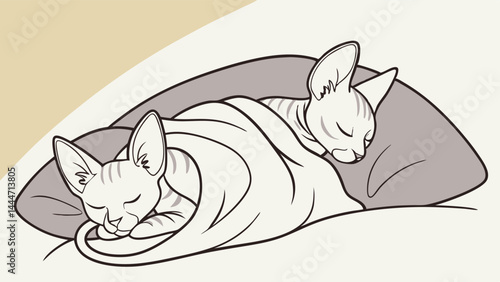 Two cute Sphynx hairless cats sleeping peacefully under a blanket on a pillow line art illustration