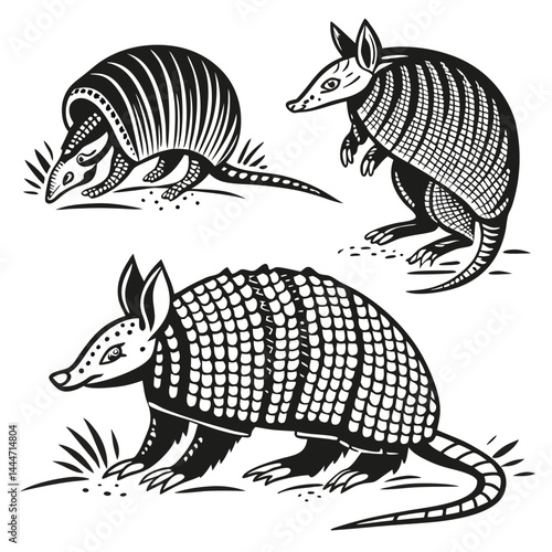 Monochrome Armadillos Three Wildlife Animals in Different Poses, Black & White