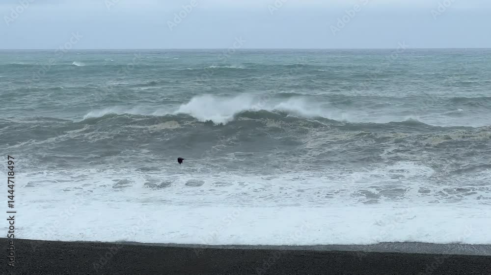 Large Waves Crash Ashore In Japan As Typhoon Lan Approaches - Lan Large Waves Crash Ashore In Japan As Typhoon Lan Approaches - Lan