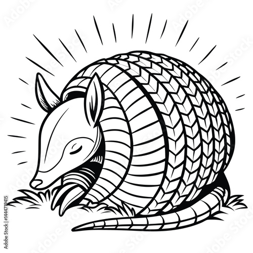 Armadillo Curled Up Outline, Black and White Illustration, Animal, Mammal, Wildlife