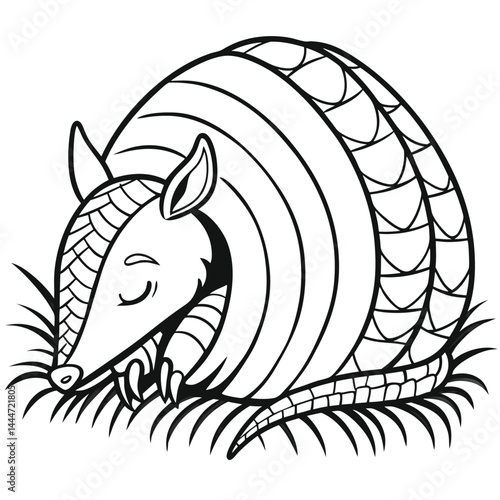 Monochrome Armadillo Curled Up Sleeping on Grass, Line Art, Black and White Design