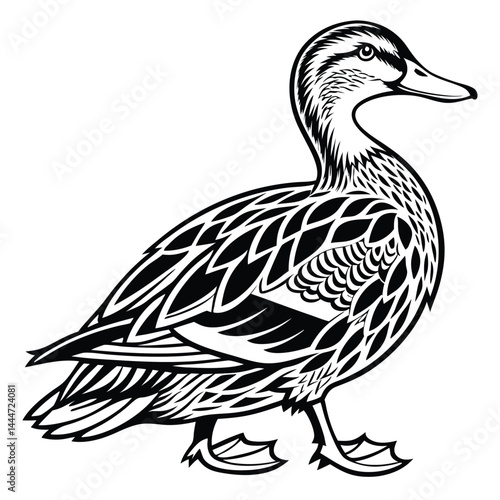 Duck Illustration, Black Outline Walking Right, Intricate Feathers, White Background