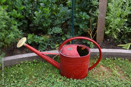 Obraz na płótnie Red watering can w salonie