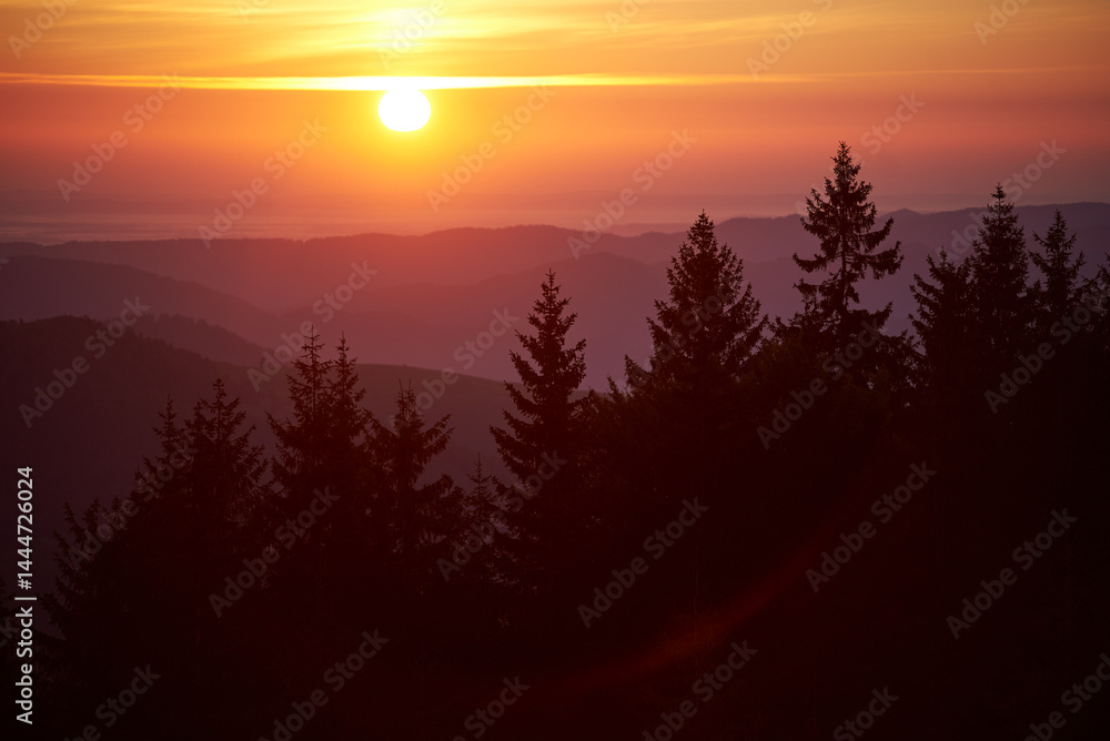 Sun sets in blaze of golden and orange hues, illuminating sky and casting warm glow over landscape. Silhouette pine trees stand tall against backdrop of rolling hills, creating captivating scene. Sun sets in blaze of golden and orange hues, illuminating sky and casting warm glow over landscape. Silhouette pine trees stand tall against backdrop of rolling hills, creating captivating scene.