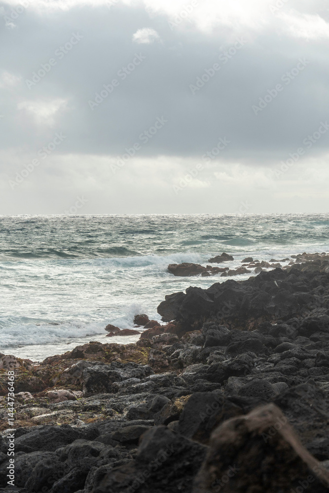 Fototapeta premium a rocky shore of poiupu beach 