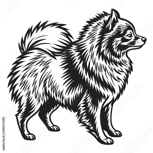 Keeshond Dog Breed Standing Isolated Silhouette, Black and White Style