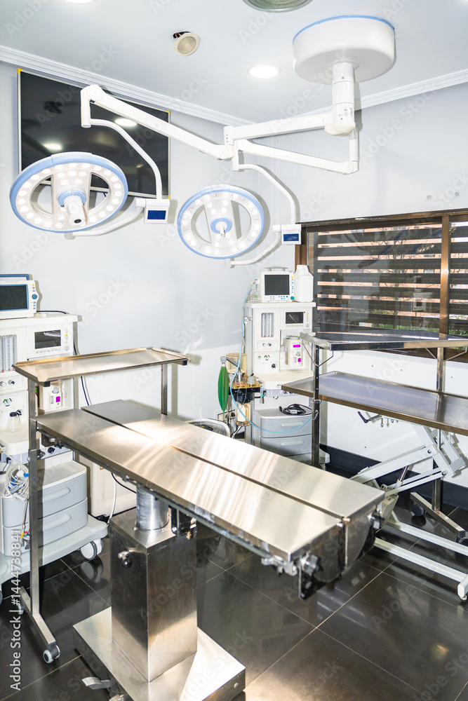 Modern veterinary operating room with surgical lights and equipment