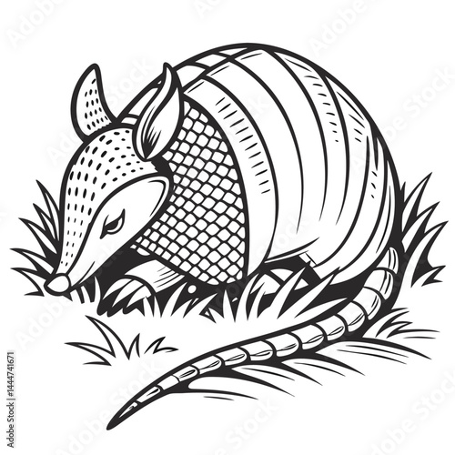 Armadillo Black and White Outline Illustration. Mammal with Bony Shell and Claws