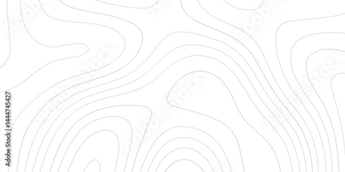 Topographic map lines background with black stripes, The concept of a geography scheme geometric lines backdrop, White wave paper curved reliefs abstract topographic contour map with geology concept.