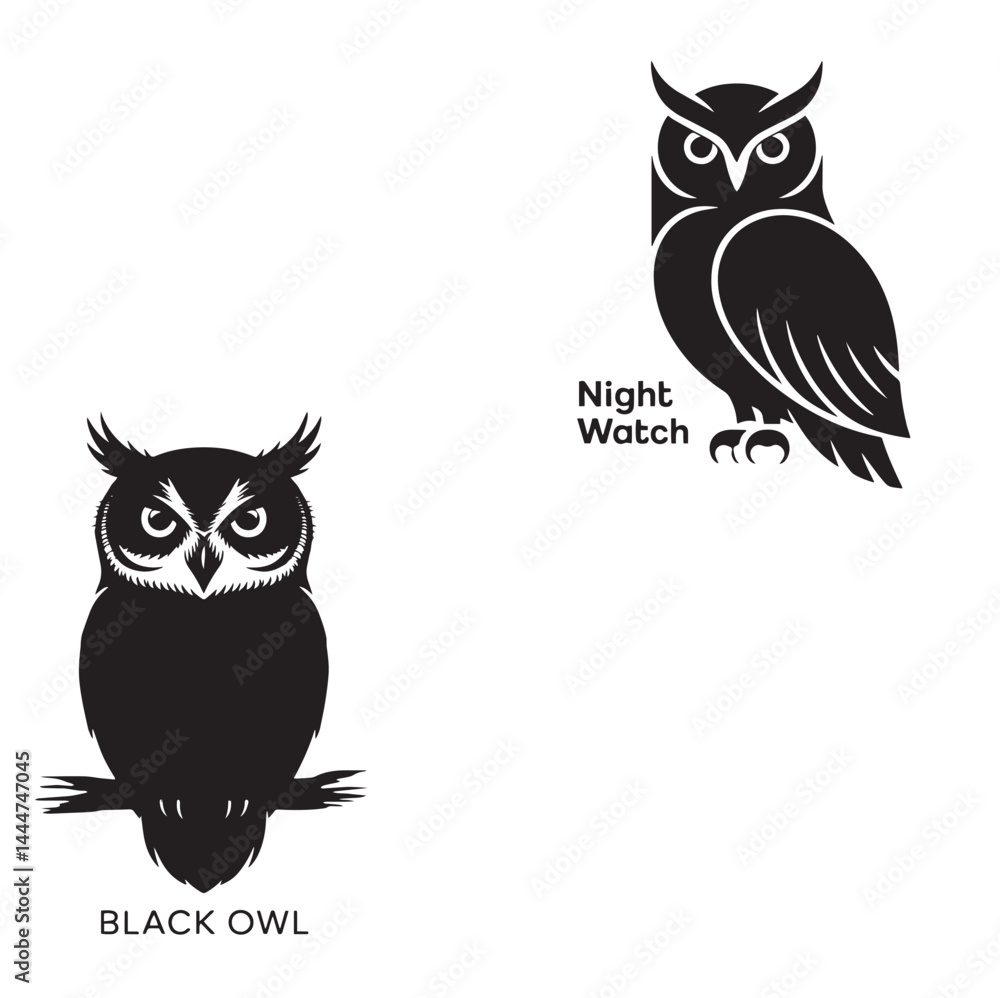 Fototapeta premium owl on a branch