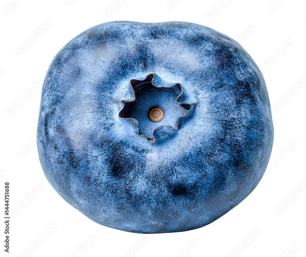 blueberry macro photography - isolated on black blueberry macro photography - isolated on black