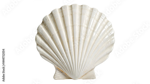 Quadro su tela White elegant sea jacobean scallop shel isolated on transparent background