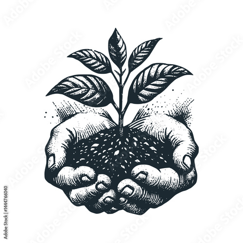 Hand Nurturing Fertile Soil and Plant Seedling - Growth and Sustainability – Black and White Icon Vector and Illustration