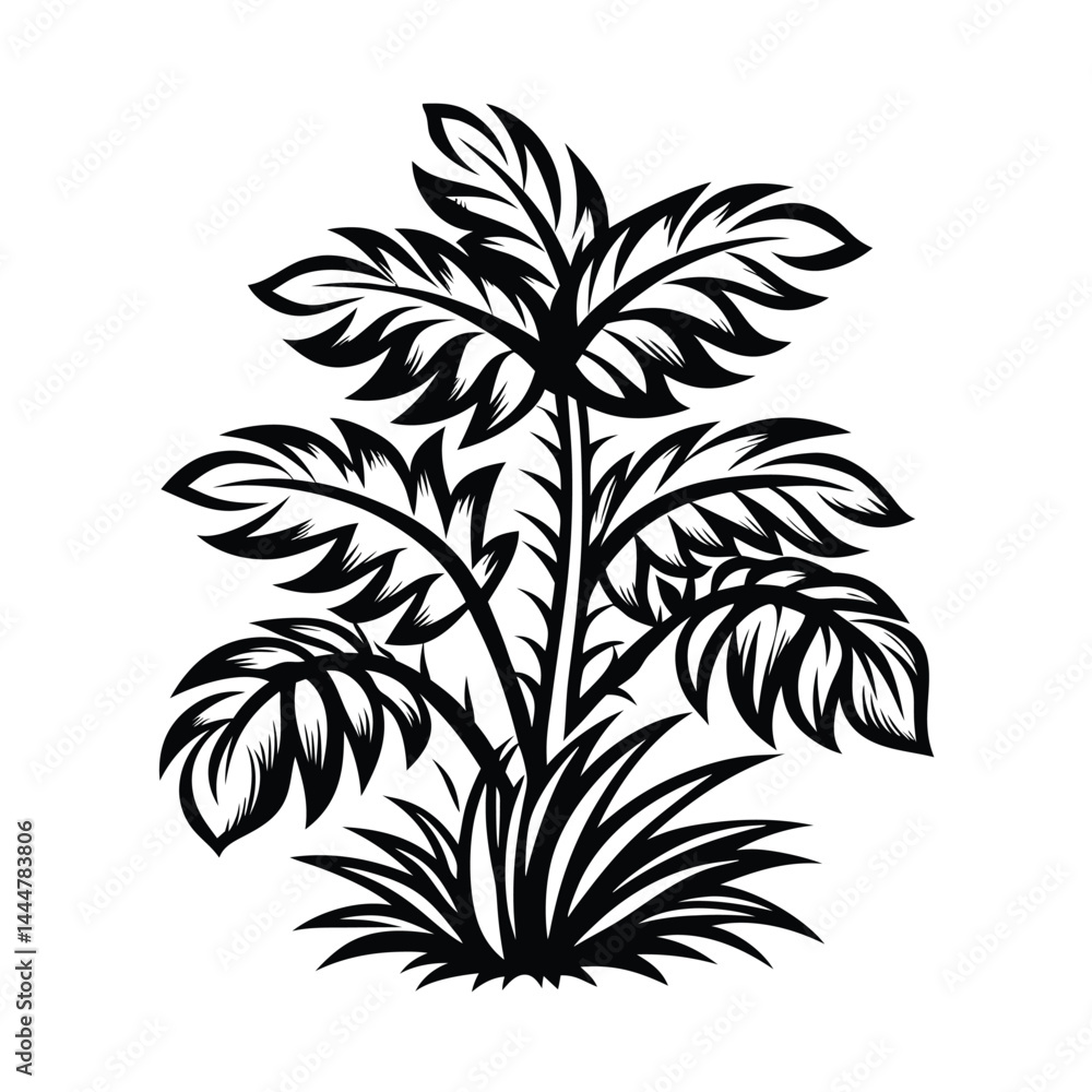 Obraz premium Tropical Plant Silhouette, Black and White Leaves and Stems