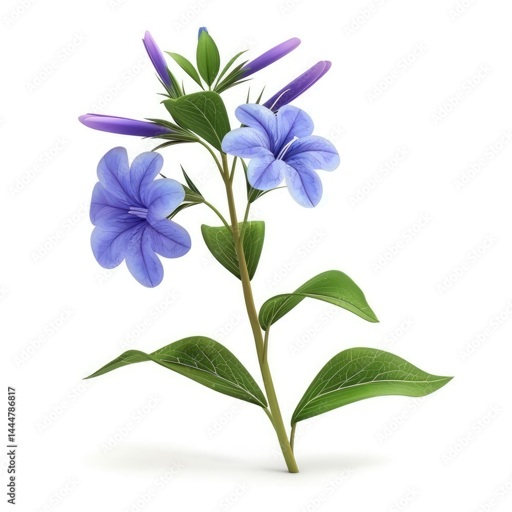 Delicate cluster of light purple flowers on a slender stem.
