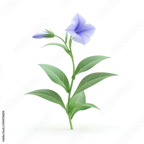 Obraz na płótnie Delicate light purple flower stem with leaves against white. w salonie