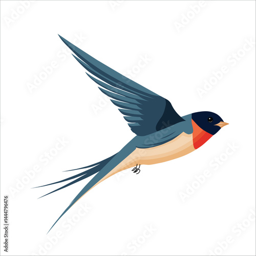 Wildlife swallow. Isolated flying swallow bird, air flight songbird martin plumage wings flock