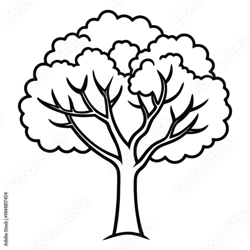 American mountain ash tree line art vector on white background 