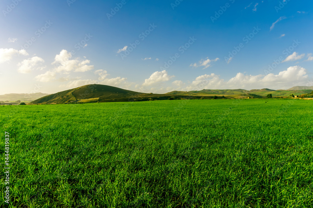 Obraz premium green landscape of spring field with green young grass and amazing hills on background