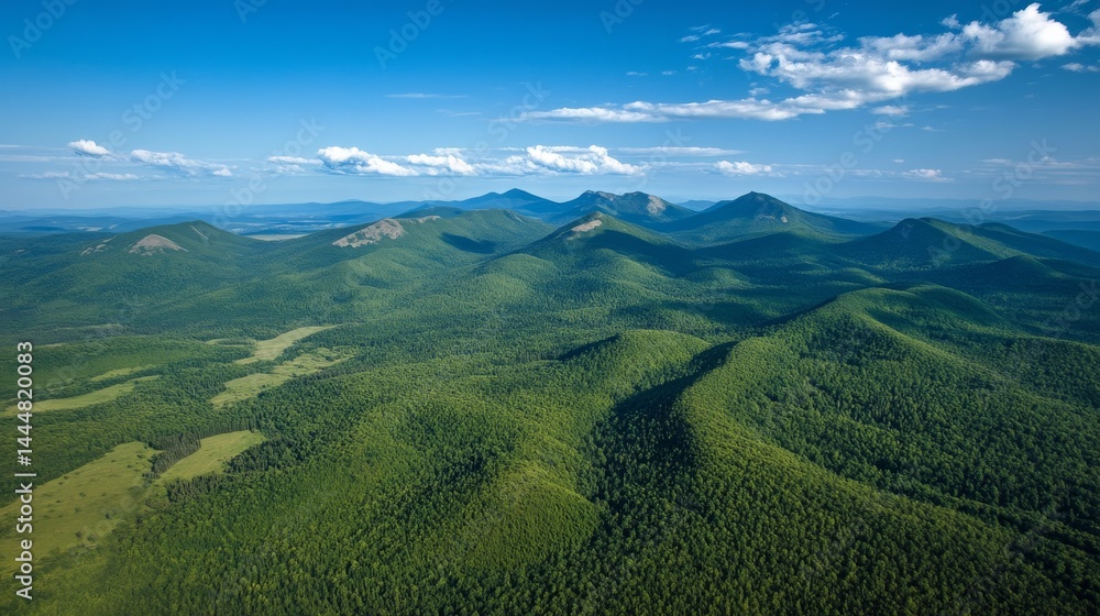 Obraz premium From above, you can see mountains covered in dark green forests under a sunny blue sky. This is a view of the Carpathian Mountains in Ukraine. A great place for adventure!