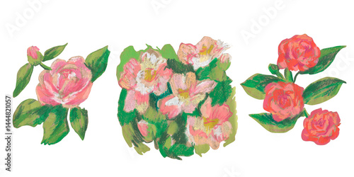 Spring clip art of camellia flowers drawn with wax crayons on white isolated background. Children's botanical collection of oil pastel illustrations. Designs for greeting cards, stickers,, posters.
