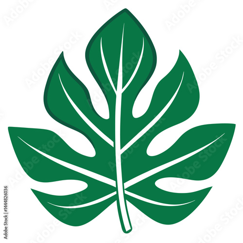 Isolated Green Monstera Leaf on White Backdrop, Botanical Illustration, Tropical Foliage