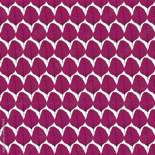 spinach, purple, leave, colors, pattern, daun, bayam, ungu