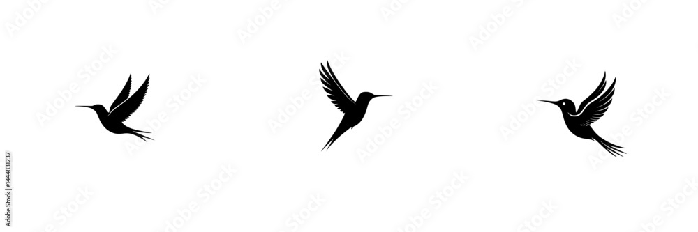 Fototapeta premium Various silhouettes of hummingbirds in flight showcasing elegance and agility in motion and form