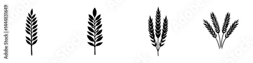 Silhouette pictogram set of plant icons representing various types of leaves and wheat sheaves for design projects