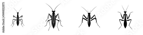Silhouette pictogram set of various mantis species showcasing distinct features and forms