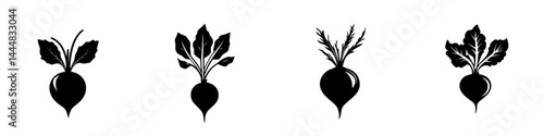 Silhouette pictograms of various types of radishes depicted in an isolated vector icon set for design purposes