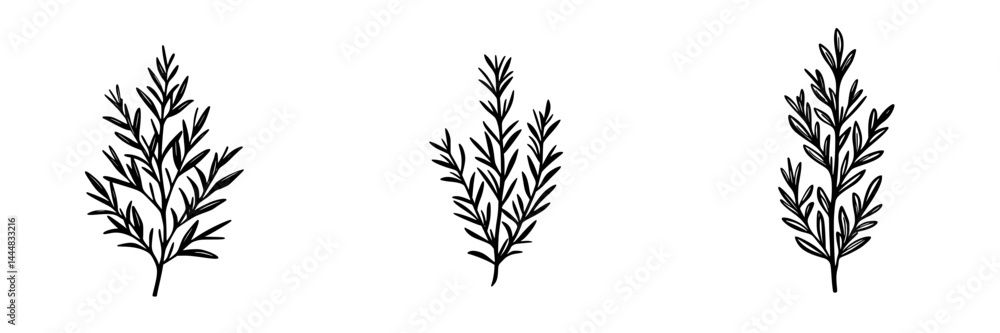 Silhouetted pictogram set of various types of leaves representing natural elements and organic designs in black and white art