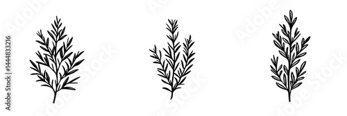 Obraz na płótnie Silhouetted pictogram set of various types of leaves representing natural elements and organic designs in black and white art w salonie