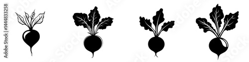 Silhouette pictogram set of various radish designs isolated on white background highlighting distinct shapes and leaf arrangements