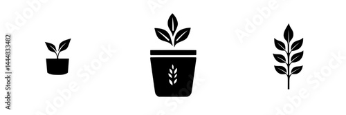 Collection of silhouette pictograms depicting various plants in pots and leaves for environmental design elements