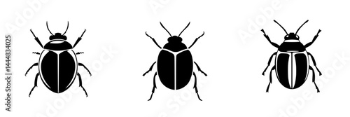 Silhouette pictogram of three distinct beetle designs showcasing insect variations in black and white on a plain background