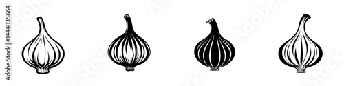 Silhouette pictograms of garlic bulbs in various shapes and sizes for culinary or design elements