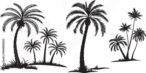 Palm Tree Silhouettes on a Tropical Island