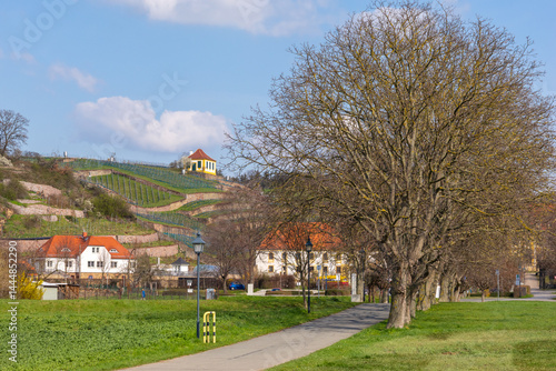 Weinberg Diesbar - Seusslitz
