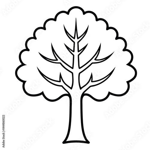 American sycamore tree line art vector on white background 
